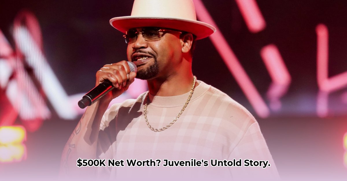 net-worth-of-juvenile